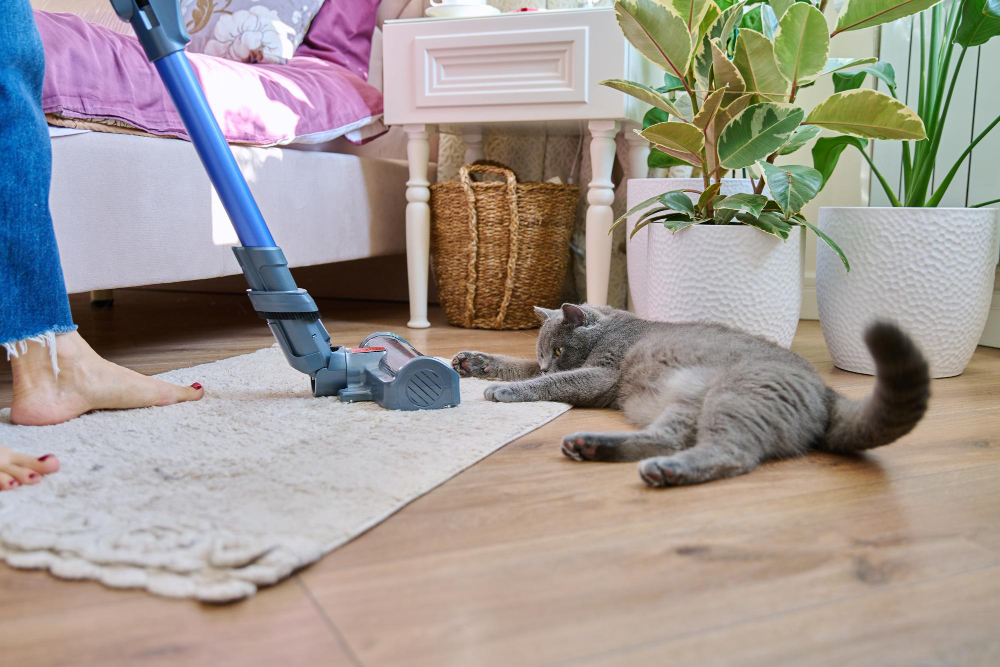 carpet cleaning for pet owners